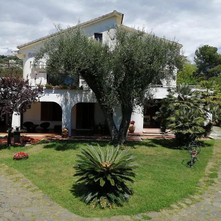 Villa Livia Villammare Eksteriør bilde