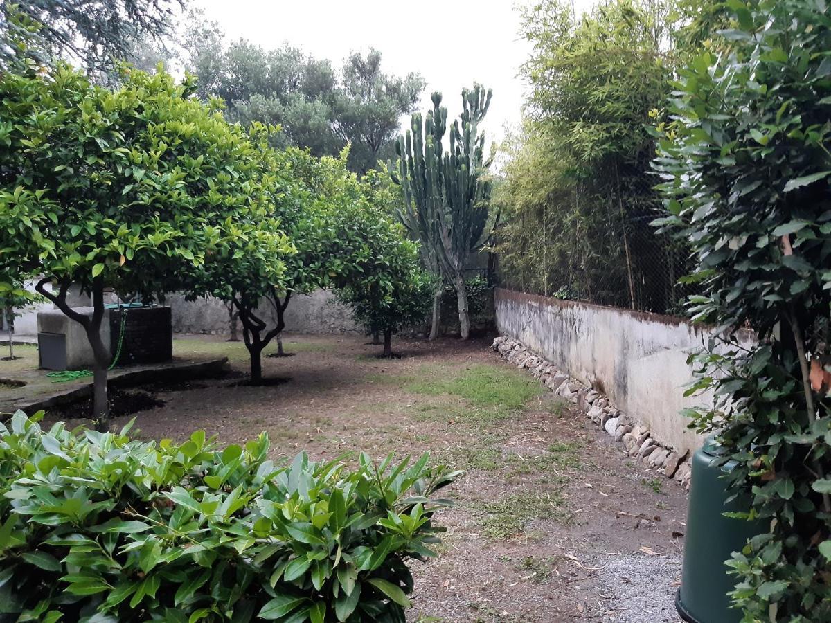 Villa Livia Villammare Eksteriør bilde