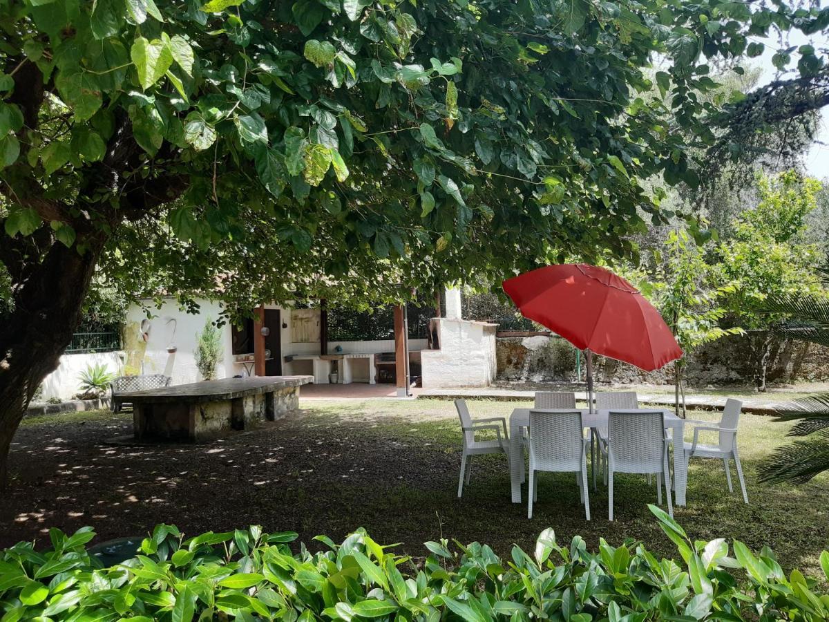 Villa Livia Villammare Eksteriør bilde