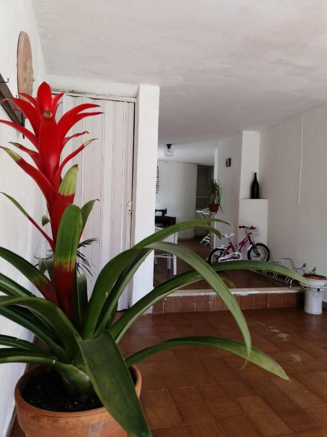 Villa Livia Villammare Eksteriør bilde