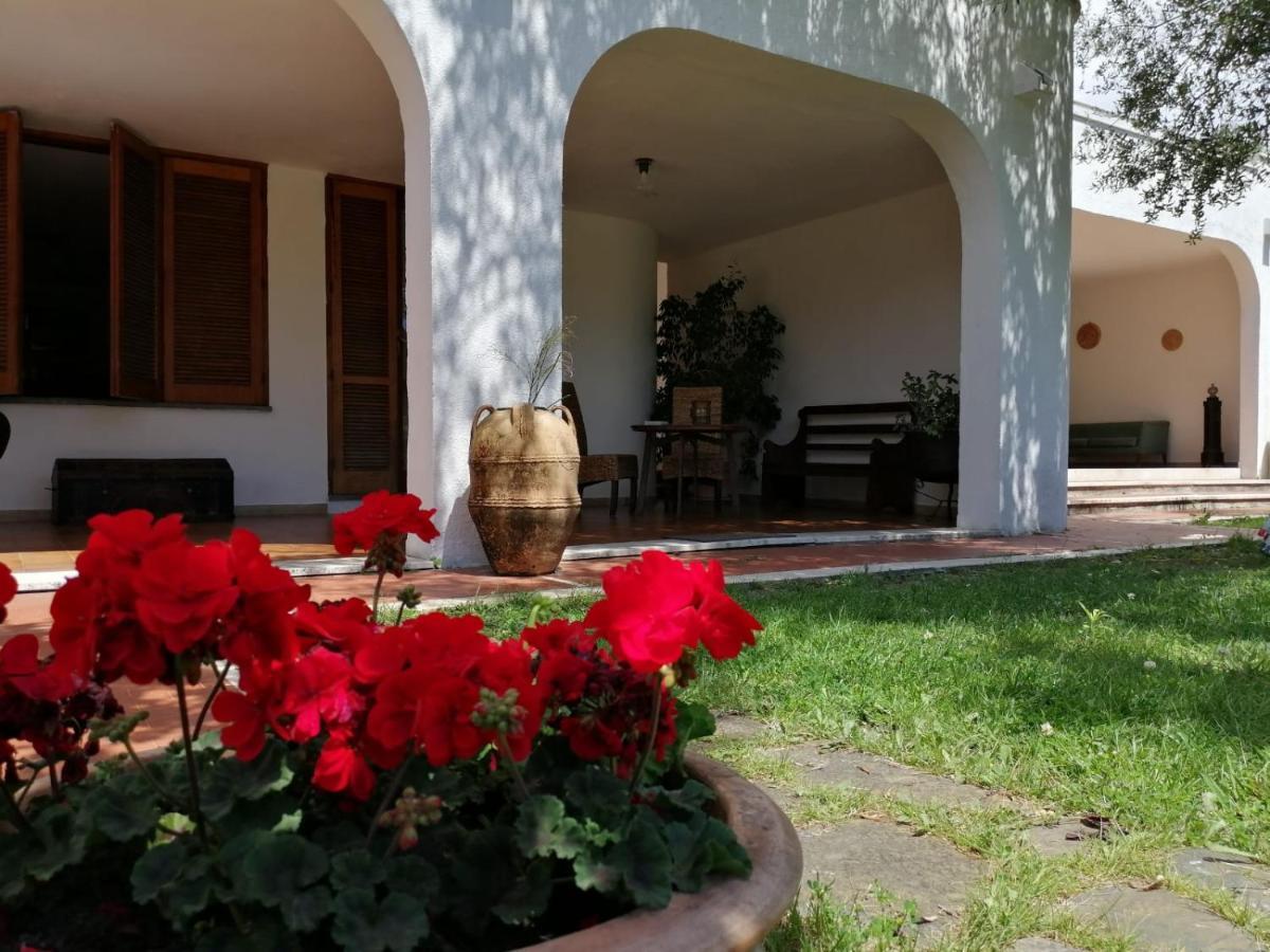 Villa Livia Villammare Eksteriør bilde